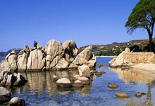 星空体育：[CBA]替补五人上双 广东卡位战告.